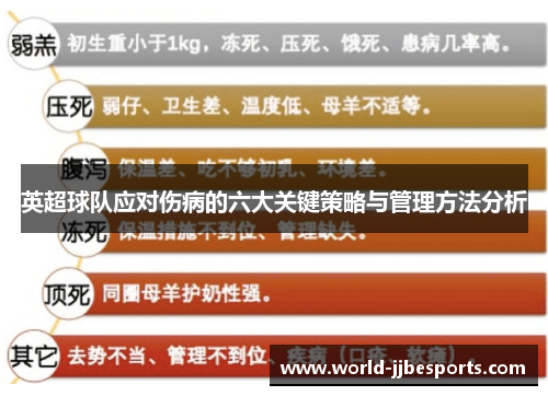 英超球队应对伤病的六大关键策略与管理方法分析